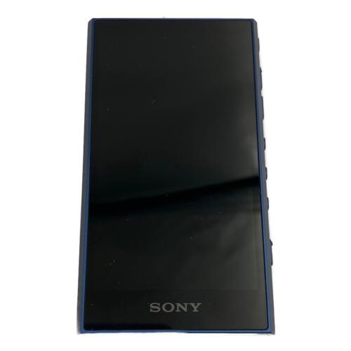 SONY (ソニー) WALKMAN NW-A307 YY2010854