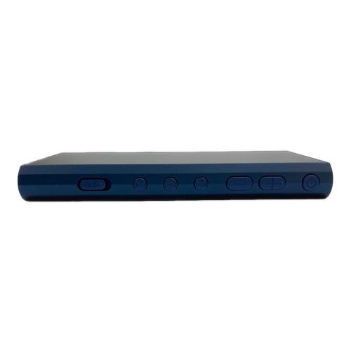 SONY (ソニー) WALKMAN NW-A307 YY2010854