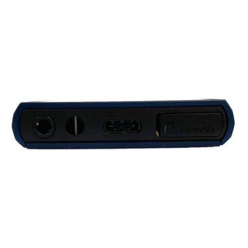 SONY (ソニー) WALKMAN NW-A307 YY2010854