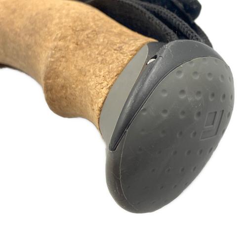 BLACK DIAMOND (ブラックダイヤモンド) トレッキングポール ブラック ALPINE CARBON CORK