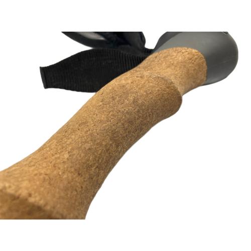 BLACK DIAMOND (ブラックダイヤモンド) トレッキングポール ブラック ALPINE CARBON CORK
