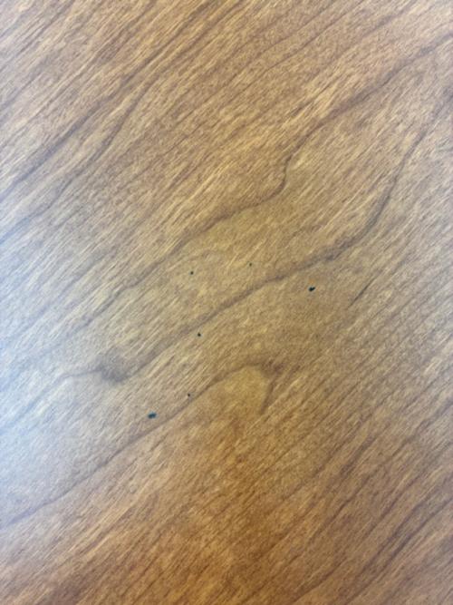 関家具 (セキカグ) ダイニング4点セット スズメ