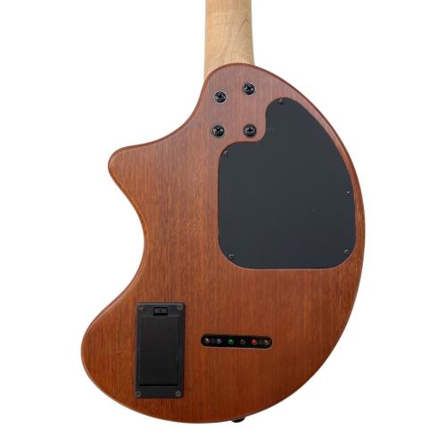 FERNANDES (フェルナンデス) アンプ内蔵エレキギター ZO-3A