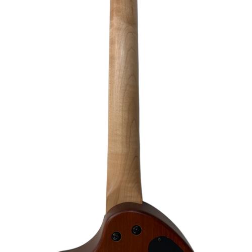 FERNANDES (フェルナンデス) アンプ内蔵エレキギター ZO-3A