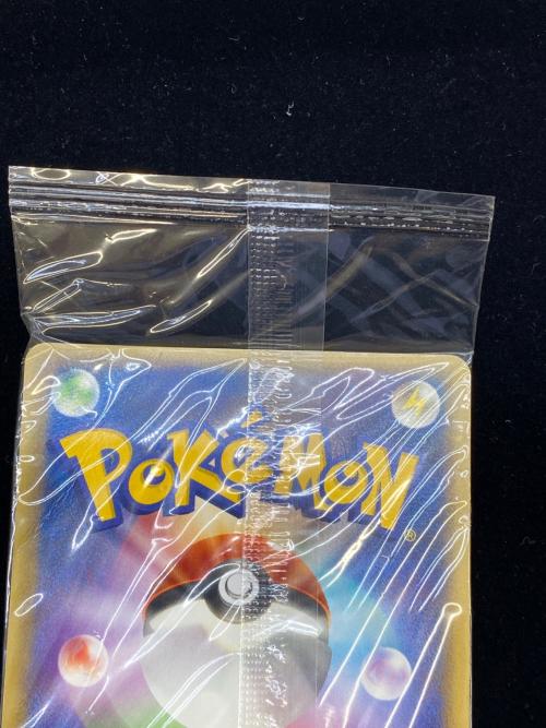 ポケパークのゴンベ ポケモンカード 040/PCG-P