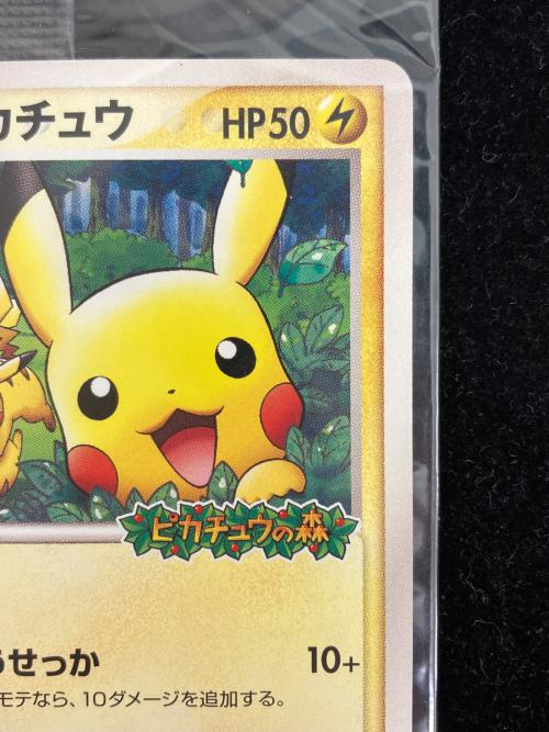 ポケパークのピカチュウ ポケモンカード 043/PCG-P