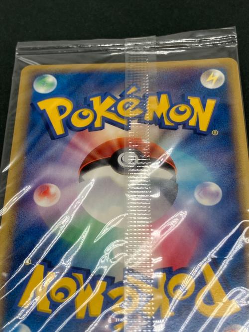 ポケパークのアチャモ ポケモンカード 047/PCG-P