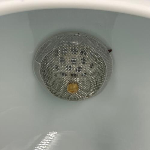 深川製磁 (フカガワセイジ) 湯呑みセット 新土瓶茶器 ルリブドー