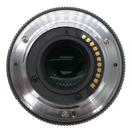 Panasonic (パナソニック)  LUMIX G X VARIO PZ 45-175mm / F4.0-5.6 ASPH. / POWER O.I.S.