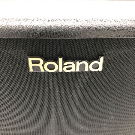 ROLAND (ローランド) アンプ AC-60