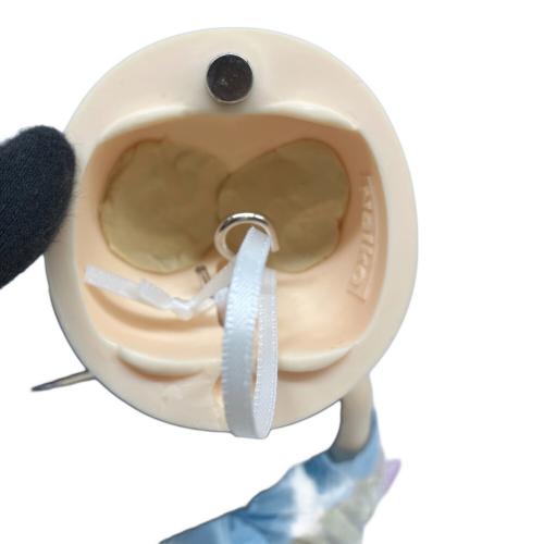 ドール ball-jointed doll