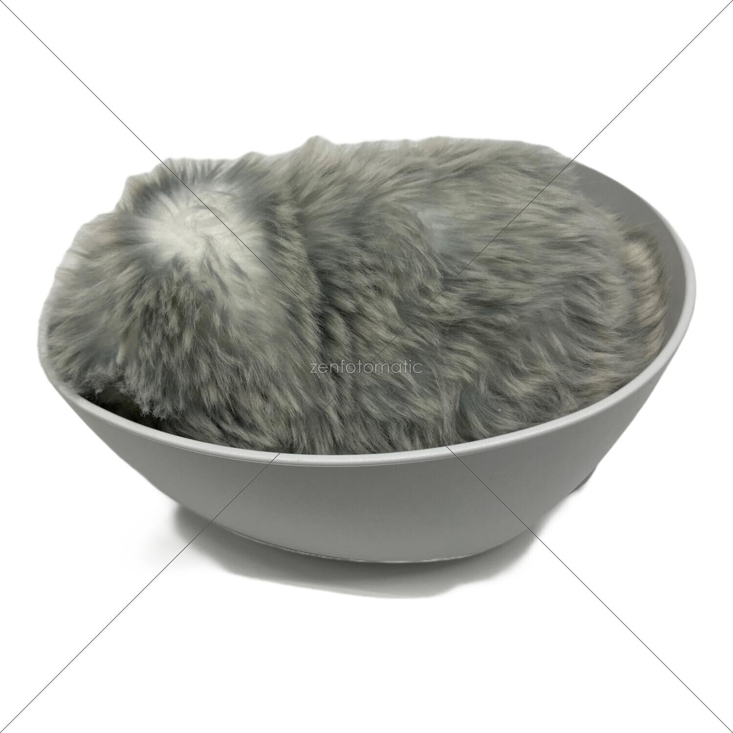 CASIO (カシオ) Moflin AIペット PE-M10SR｜トレファクONLINE