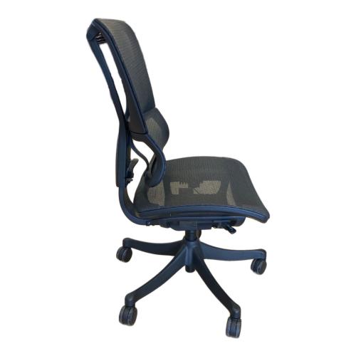 Ergohuman (エルゴヒューマン) ワークチェアー NF2001-001364 ブラック