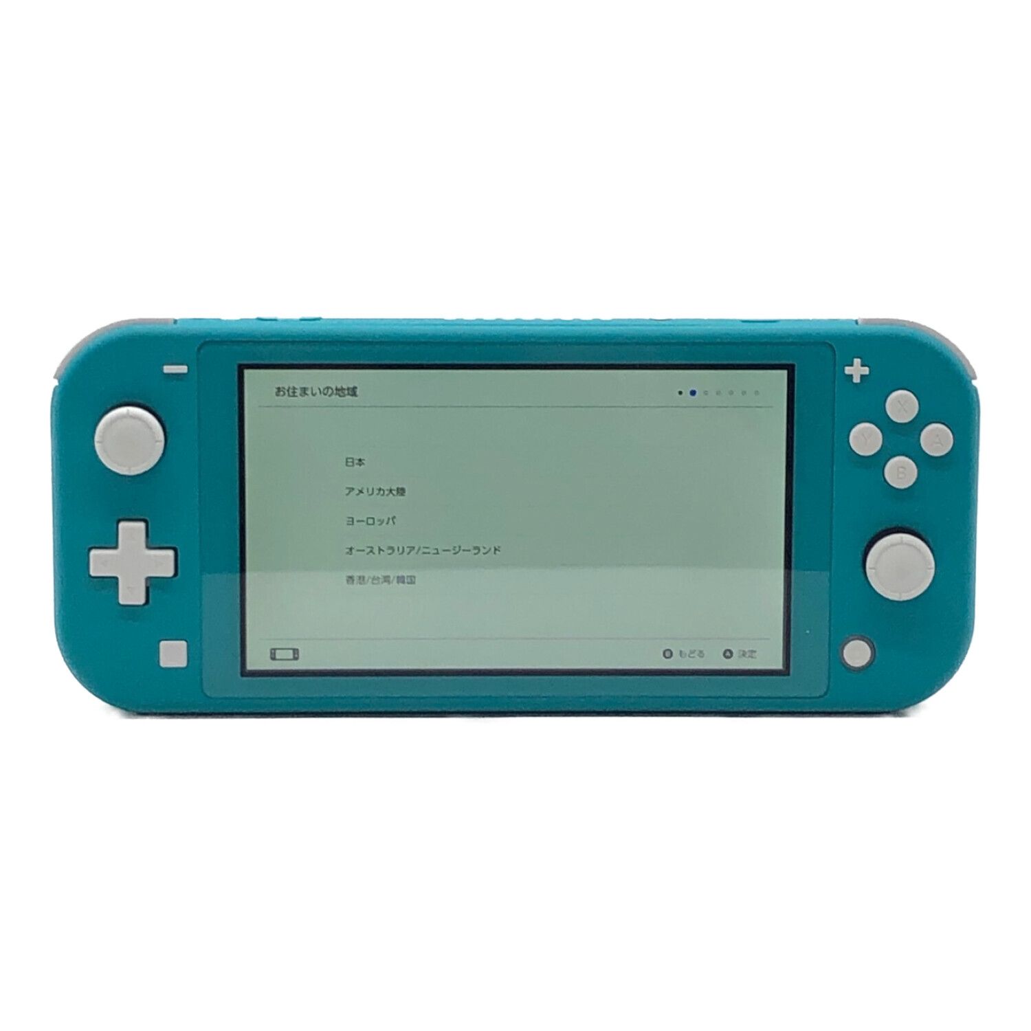 Nintendo (ニンテンドウ) Nintendo Switch Lite HDH-001 動作確認済み