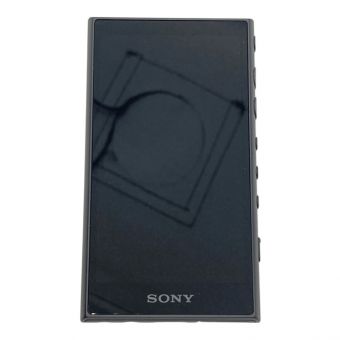 SONY (ソニー) WALKMAN 16GB NW-A105 -