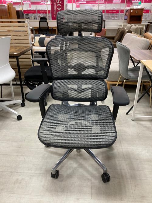 Ergohuman (エルゴヒューマン) ワークチェアー ブラック×グレー 244 BASIC