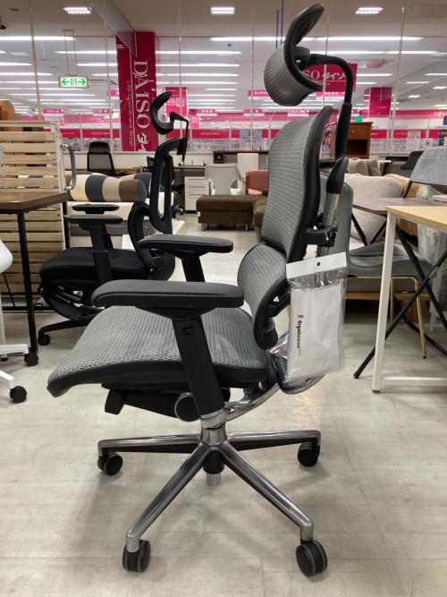 Ergohuman (エルゴヒューマン) ワークチェアー ブラック×グレー 244 BASIC
