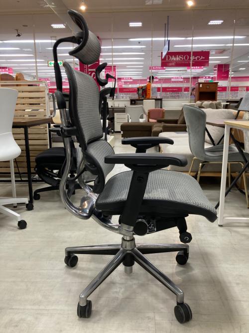 Ergohuman (エルゴヒューマン) ワークチェアー ブラック×グレー 244 BASIC