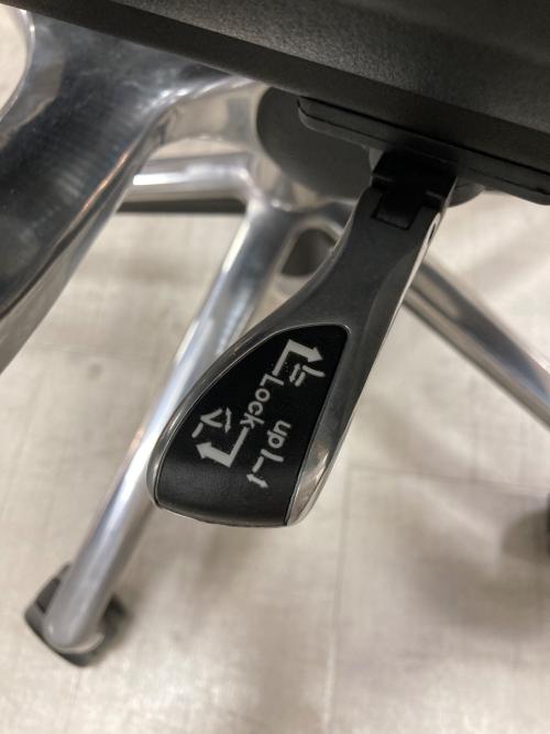 Ergohuman (エルゴヒューマン) ワークチェアー ブラック×グレー 244 BASIC