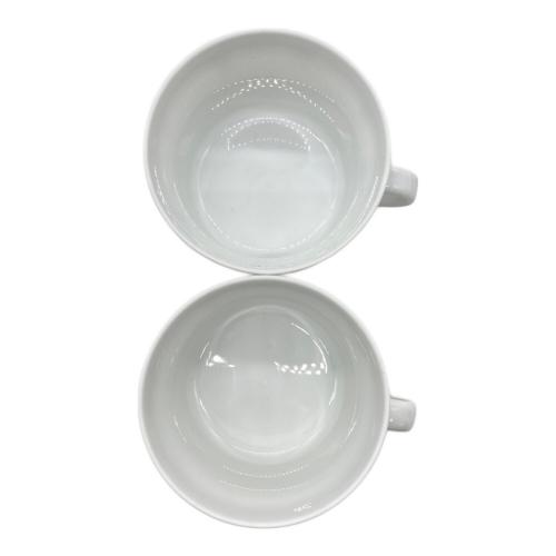 RICHARD GINORI (リチャードジノリ) カップ&ソーサー 廃盤品 2Pセット