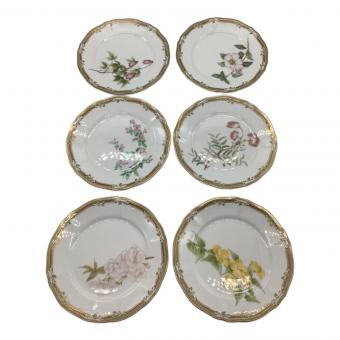 Noritake (ノリタケ) プレート 花柄 ガラコンテッサ 6Pセット