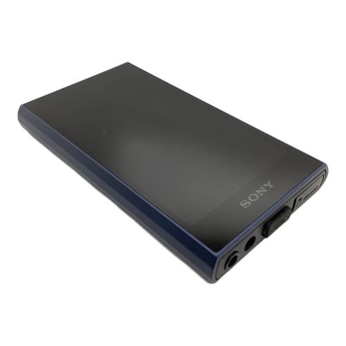 SONY (ソニー) WALKMAN 64GB NW-A307 -