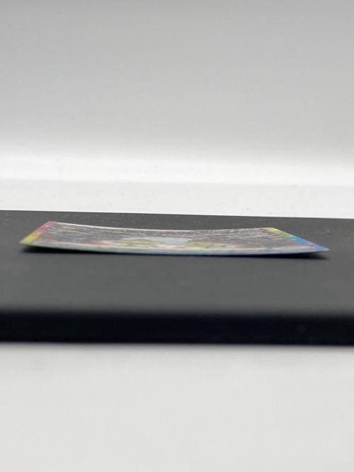 ブラッキーex 217/187 SAR sv8a