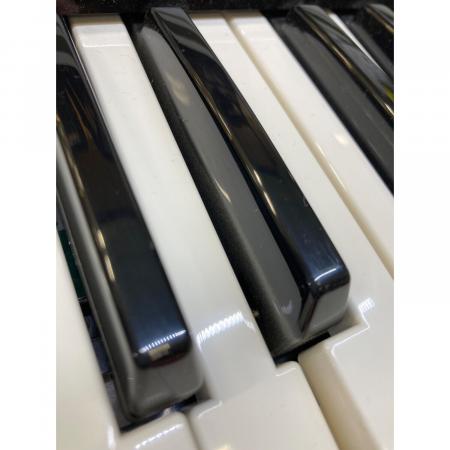 ROLAND (ローランド) ショルダーキーボード AX-Synth 動作確認済み
