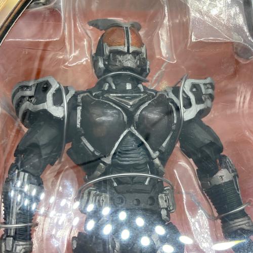 BANDAI (バンダイ) S.I.C. VOL.30 仮面ライダーカイザ＆仮面ライダー