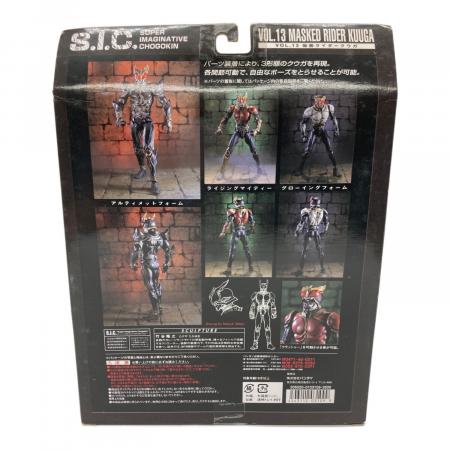 BANDAI (バンダイ) S.I.C. Vol. 13 仮面ライダー クウガ フィギュア
