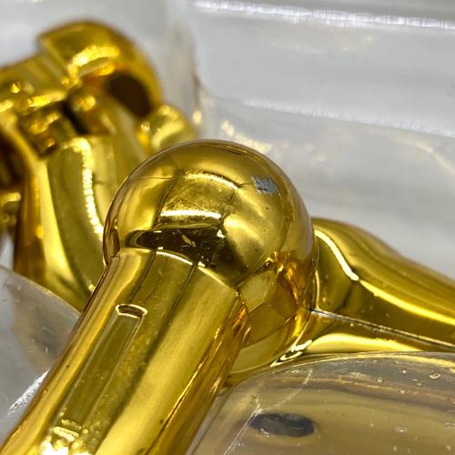 BANDAI (バンダイ) 聖闘士聖衣神話 レオ アイオリア フィギュア 少々ヨゴレ・スレ有