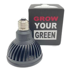 高島屋植物園 (タカシマヤ) Plants NEXLIGHT