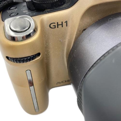 Panasonic (パナソニック) デジタル一眼レフカメラ DMC-GH1