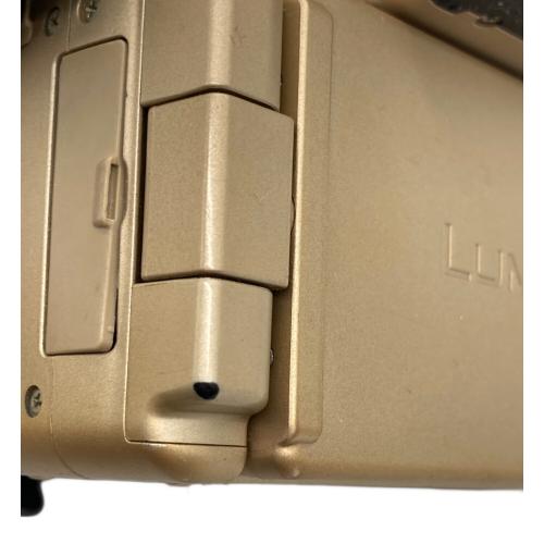 Panasonic (パナソニック) デジタル一眼レフカメラ DMC-GH1