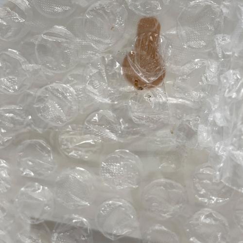 ウルトラマン ペーパーホルダー レトロホビー