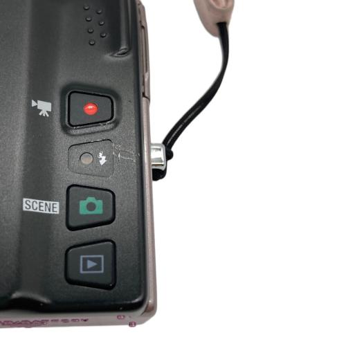 Nikon (ニコン) コンパクトデジタルカメラ S6100