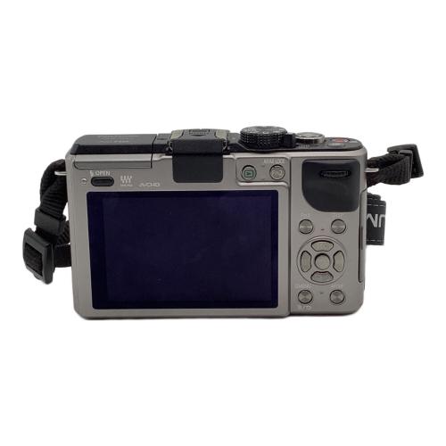 Panasonic (パナソニック) ミラーレス一眼カメラ DMC-GX1 LUMIX GX1