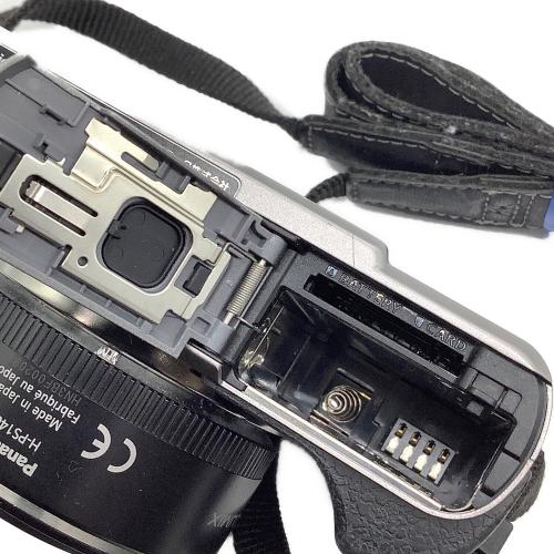 Panasonic (パナソニック) ミラーレス一眼カメラ DMC-GX1 LUMIX GX1