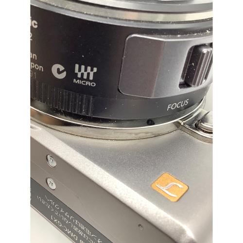 Panasonic (パナソニック) ミラーレス一眼カメラ DMC-GX1 LUMIX GX1