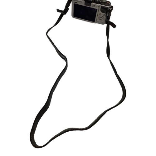 Panasonic (パナソニック) ミラーレス一眼カメラ DMC-GX1 LUMIX GX1