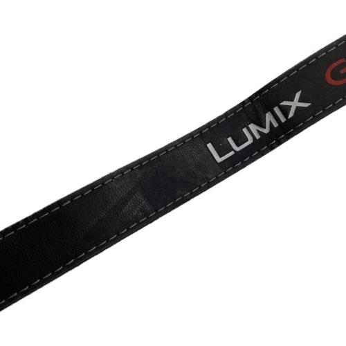 Panasonic (パナソニック) ミラーレス一眼カメラ DMC-GX1 LUMIX GX1