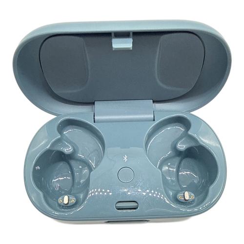 BOSE (ボーズ) QuietComfort Earbuds Limited Edition 831262-0030 Noise Cancelling