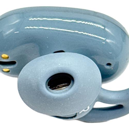 BOSE (ボーズ) QuietComfort Earbuds Limited Edition 831262-0030 Noise Cancelling