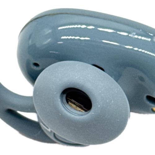BOSE (ボーズ) QuietComfort Earbuds Limited Edition 831262-0030 Noise Cancelling