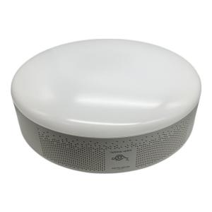 Aladdin (アラジン) プロジェクター付シーリングライト