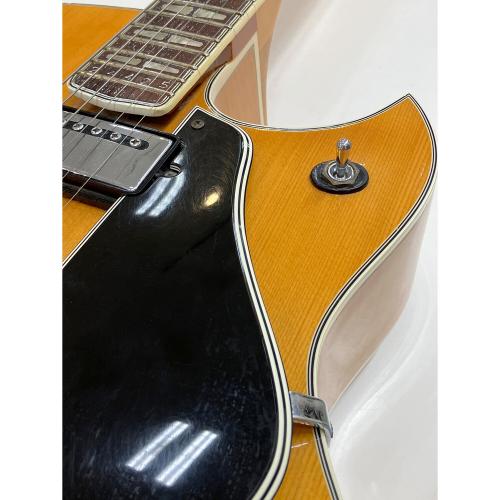 YAMAHA (ヤマハ) エレアコギター AE-11 1971