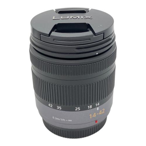 Panasonic (パナソニック) デジタル一眼レフカメラ DMC-GF2 LUMIX