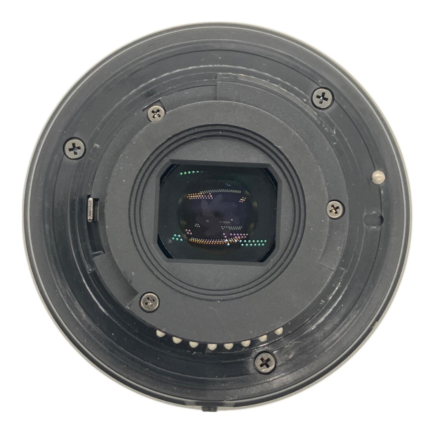 Nikon (ニコン) 望遠ズームレンズ AF-P DX NIKKOR VR手ブレ補正有