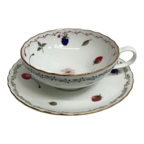 Noritake (ノリタケ) カップ&ソーサー ５種類 5Pセット