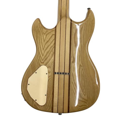 Aria Pro 2 (アリアプロ２) エレキギター @ Π TS-600 動作確認済み 069227